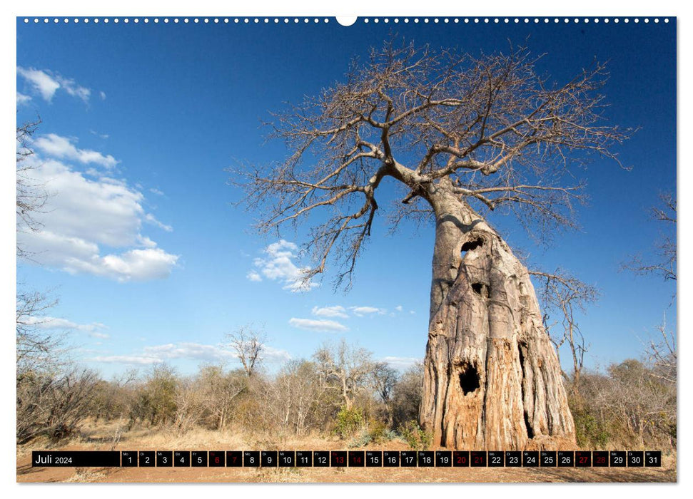 Faszination Simbabwe (CALVENDO Premium Wandkalender 2024)