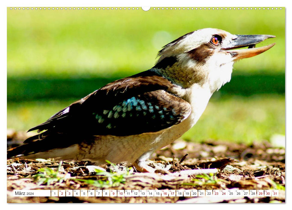 Paradis côtier – Parc national de Noosa Australie (Calvendo Premium Wall Calendar 2024) 