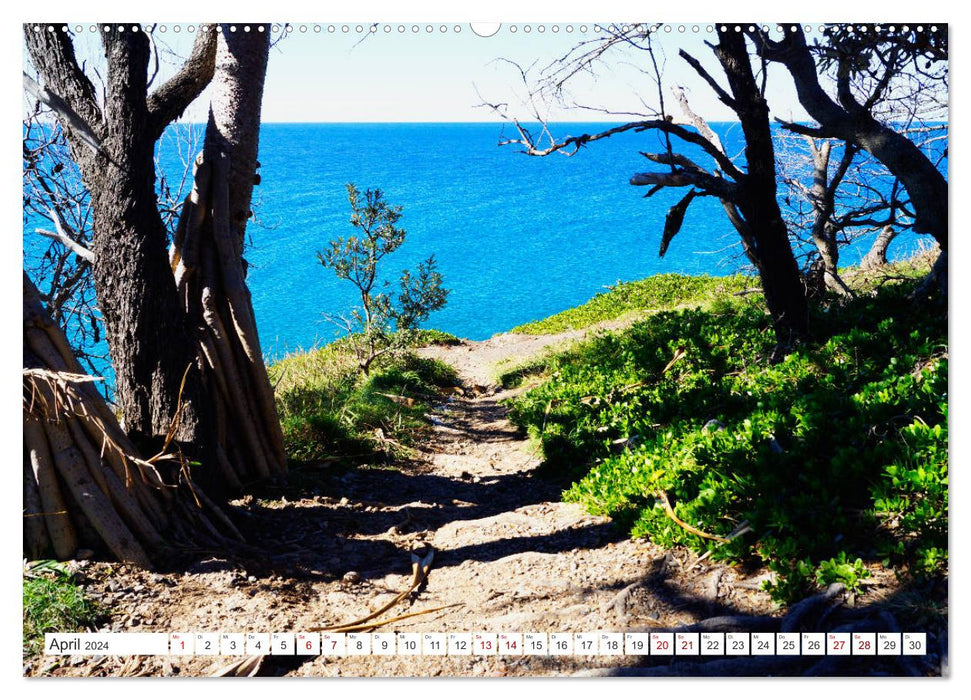 Paradis côtier – Parc national de Noosa Australie (Calvendo Premium Wall Calendar 2024) 