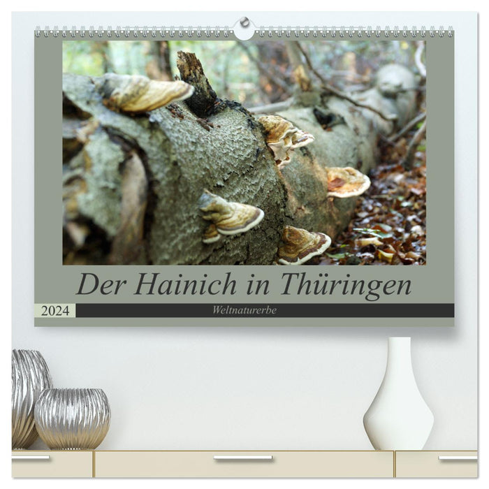 Le Hainich en Thuringe - Patrimoine naturel mondial (Calvendo Premium Wall Calendar 2024) 
