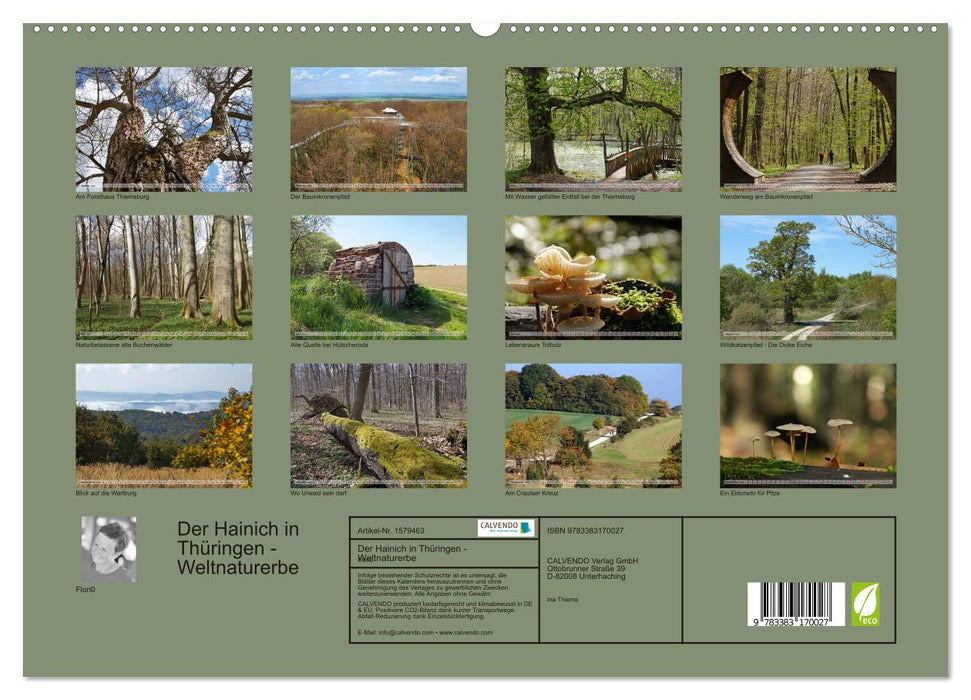 Le Hainich en Thuringe - Patrimoine naturel mondial (Calvendo Premium Wall Calendar 2024) 