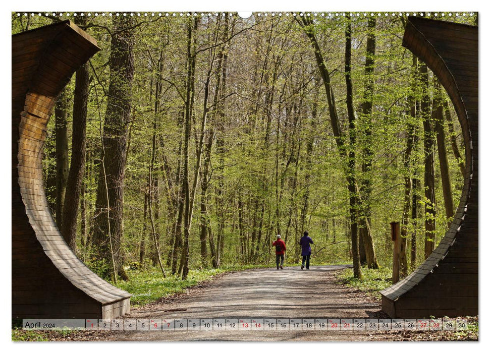 Le Hainich en Thuringe - Patrimoine naturel mondial (Calvendo Premium Wall Calendar 2024) 