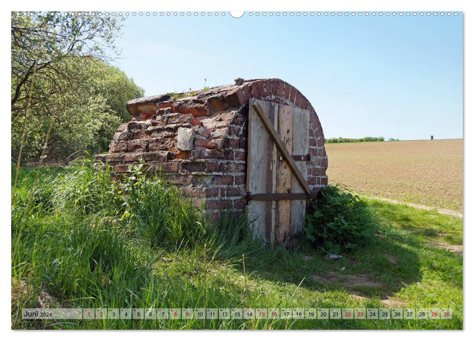 Le Hainich en Thuringe - Patrimoine naturel mondial (Calvendo Premium Wall Calendar 2024) 