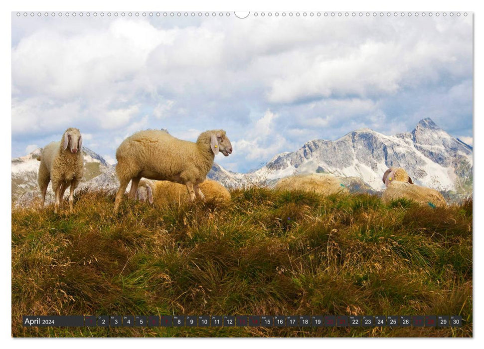 Faites un voyage à Lungau (Calendrier mural CALVENDO Premium 2024) 