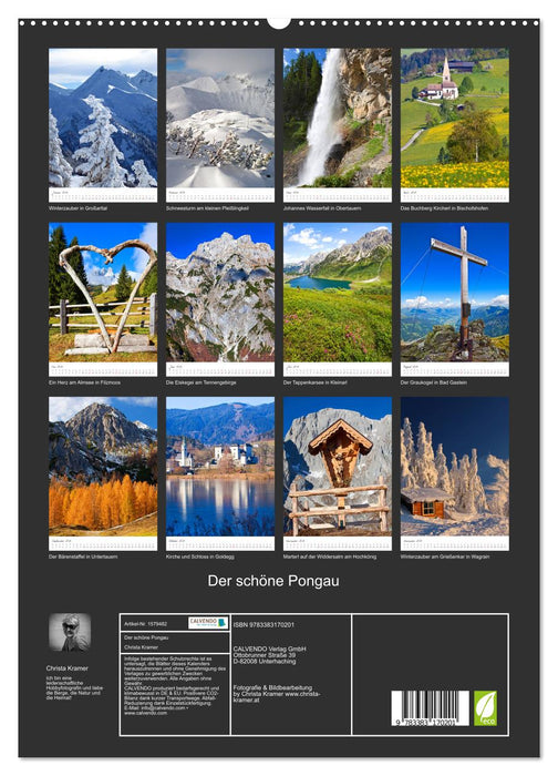 Der schöne Pongau (CALVENDO Premium Wandkalender 2024)