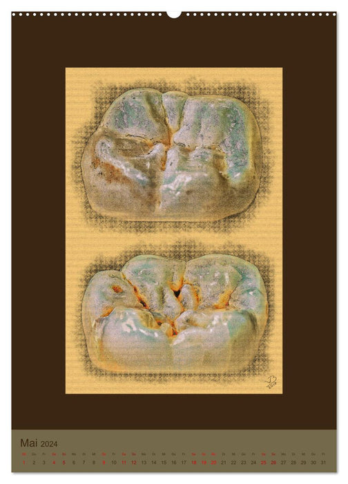Zähne auf Leinwand (CALVENDO Wandkalender 2024)