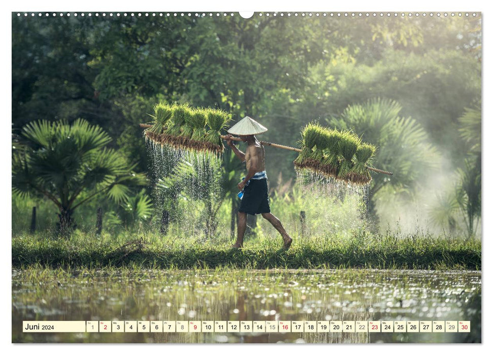 L'Asie magique. Les gens et la nature (Calendrier mural CALVENDO 2024) 