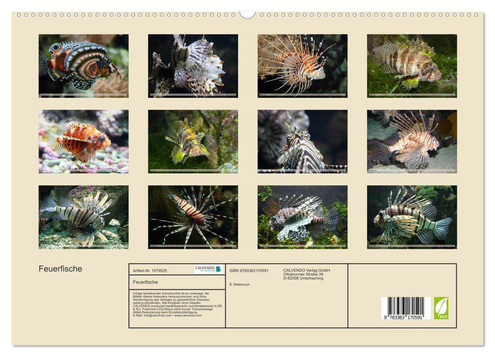 Poisson-lion – Beautés vénéneuses des mers (Calvendo Premium Wall Calendar 2024) 