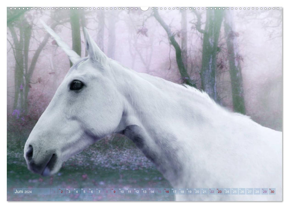 Licornes magiques - créatures mythiques de conte de fées (Calendrier mural CALVENDO Premium 2024) 