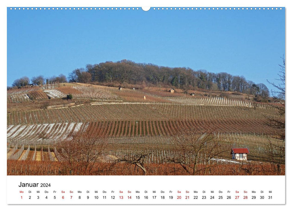 Willkommen in Heppenheim an der Bergstraße (CALVENDO Wandkalender 2024)