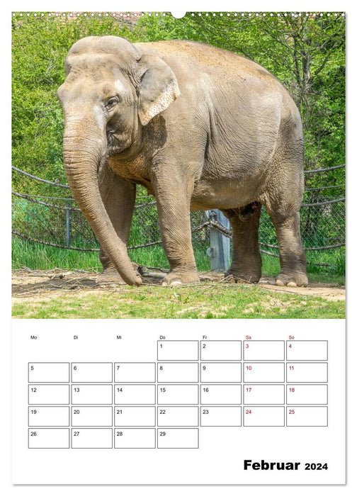 Artenvielfalt Tiere (CALVENDO Premium Wandkalender 2024)
