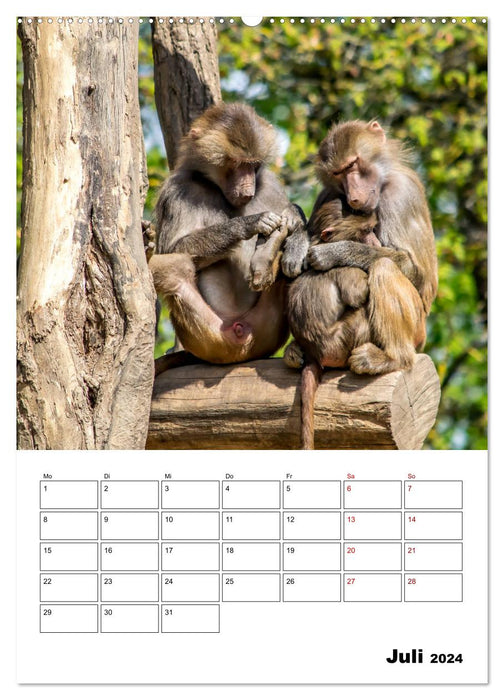 Artenvielfalt Tiere (CALVENDO Premium Wandkalender 2024)