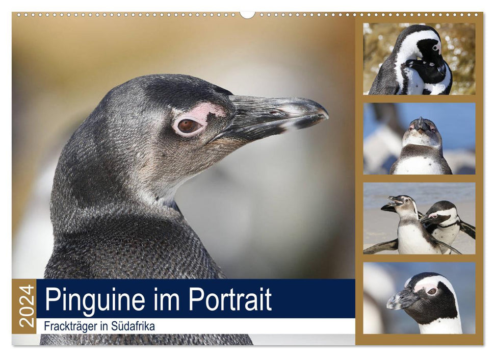 Pingouins en portrait - personnes portant des fracs en Afrique du Sud (calendrier mural CALVENDO 2024) 