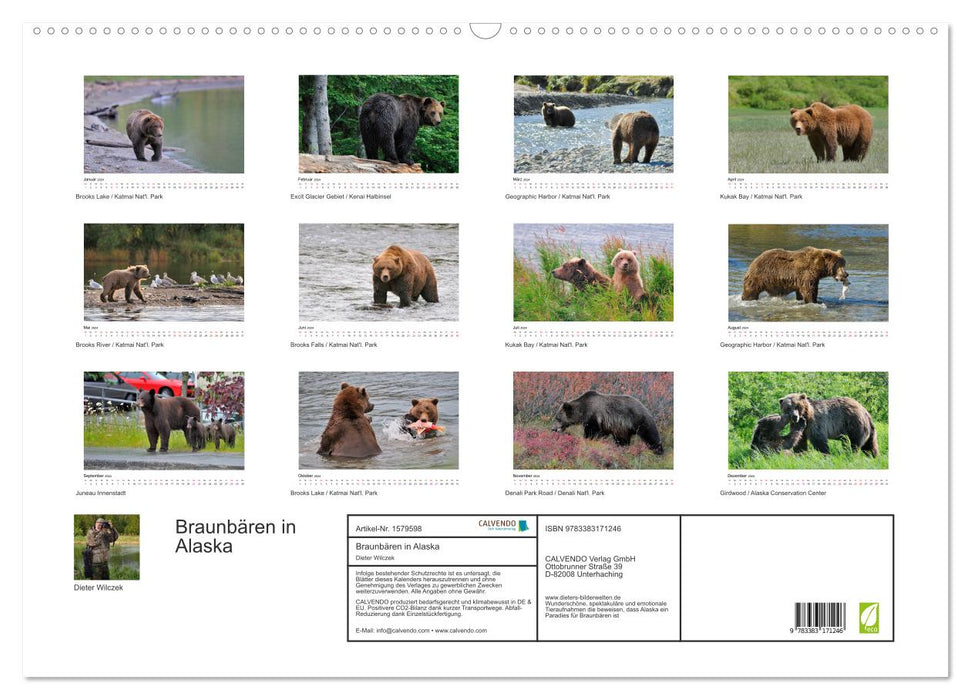 Ours bruns en Alaska (calendrier mural CALVENDO 2024) 