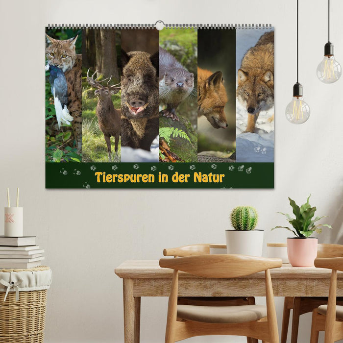 Traces d'animaux dans la nature (Calendrier mural CALVENDO 2024) 