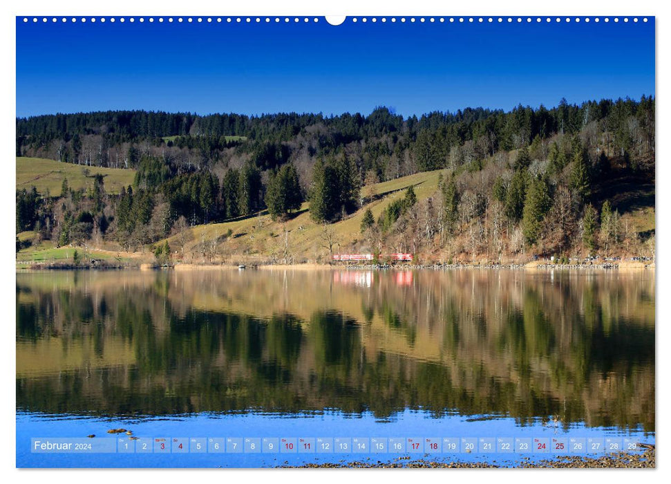 Autour de l'Alpsee (Calendrier mural CALVENDO Premium 2024) 