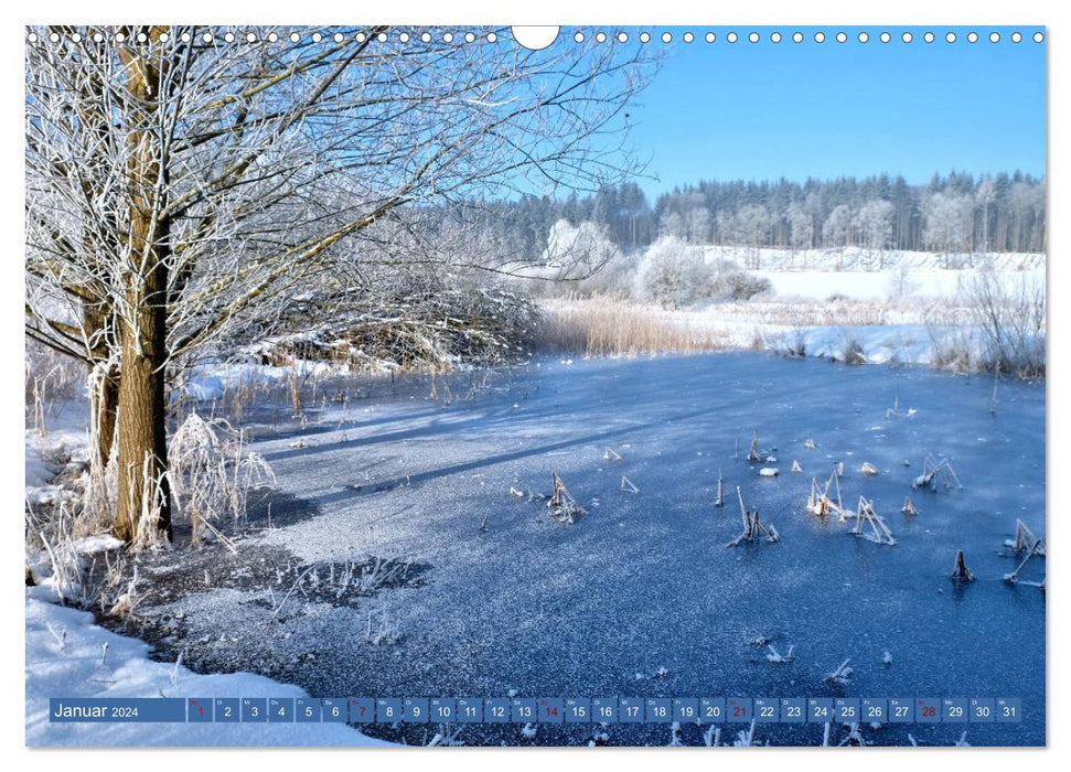 Étangs de forêts de prairies. Parc naturel des forêts d'Augsbourg et de l'Ouest (calendrier mural CALVENDO 2024) 