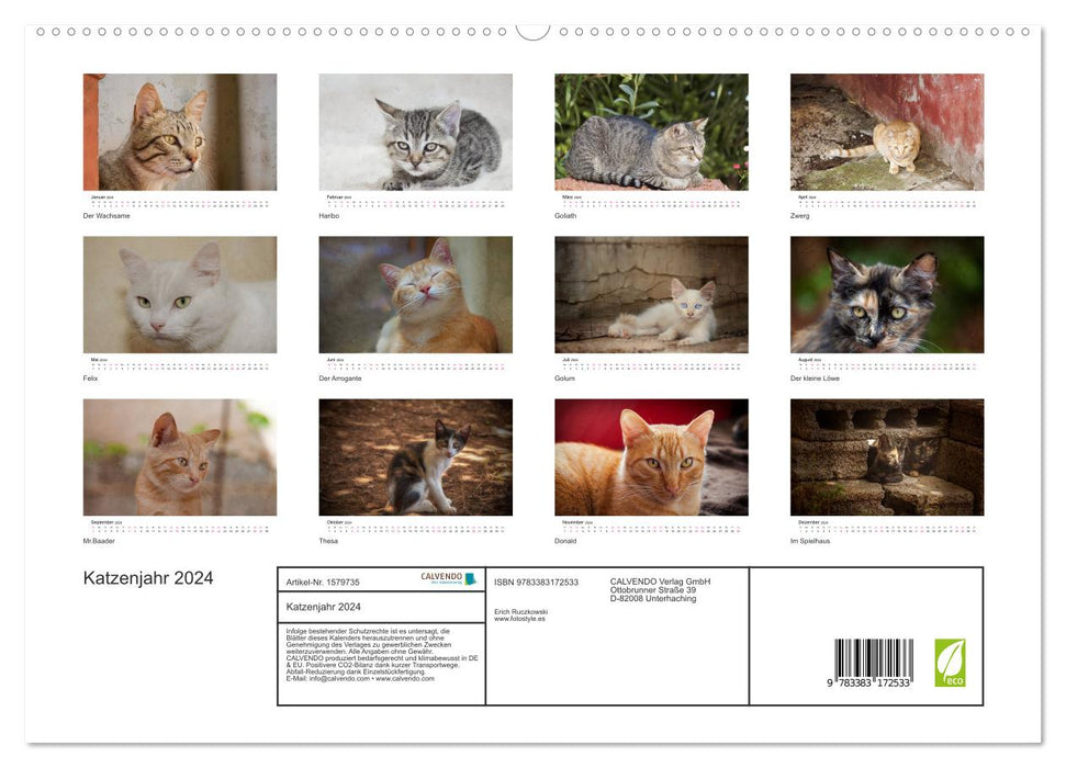 Année du chat 2024 (Calvendo Premium Calendrier mural 2024) 