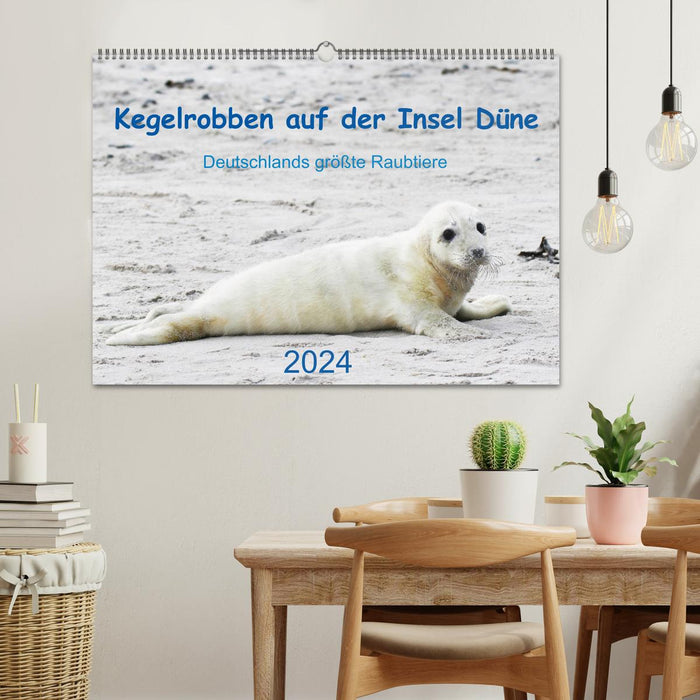 Kegelrobben auf der Insel Düne (CALVENDO Wandkalender 2024)