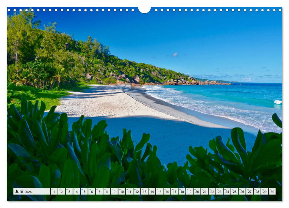 Seychelles - Paradis dans l'Océan Indien (Calendrier mural CALVENDO 2024) 