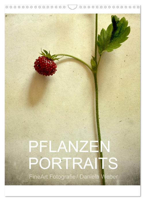 Pflanzenportraits FineArt Fotografie Daniela Weber (CALVENDO Wandkalender 2024)