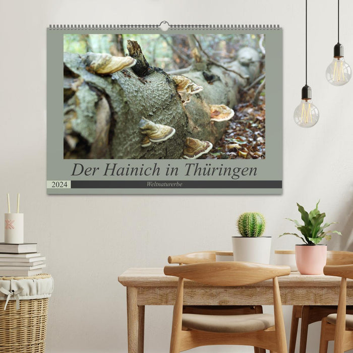 Le Hainich en Thuringe - Patrimoine naturel mondial (Calendrier mural CALVENDO 2024) 