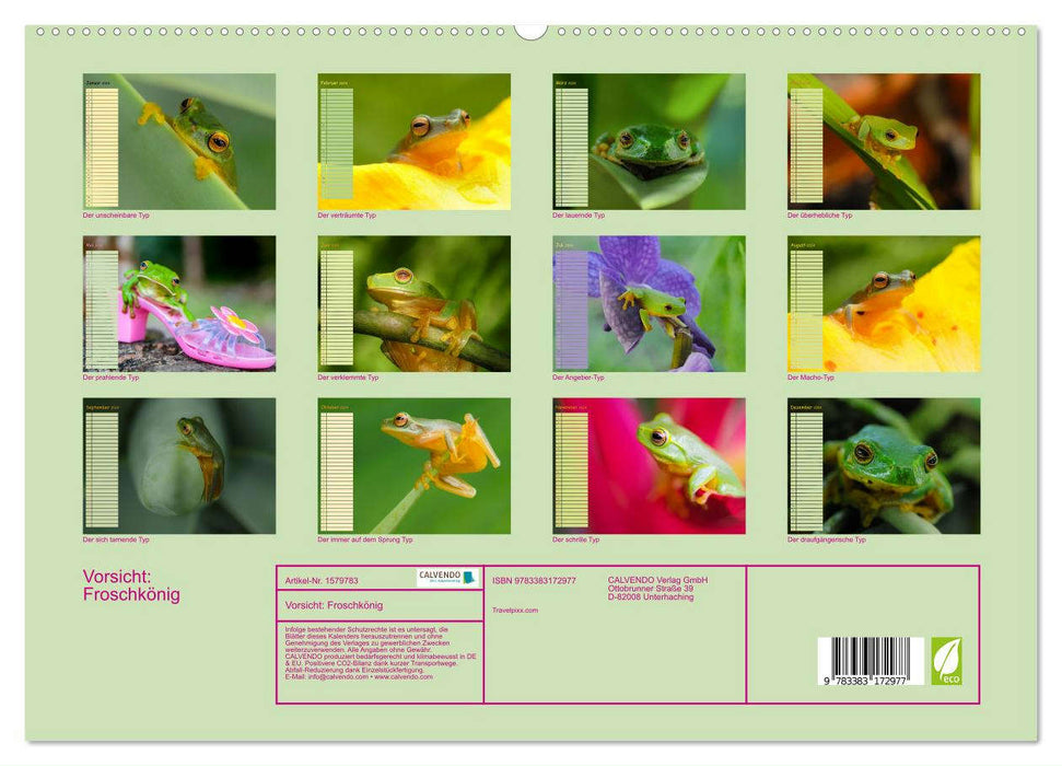 Vorsicht: Froschkönig (CALVENDO Premium Wandkalender 2024)