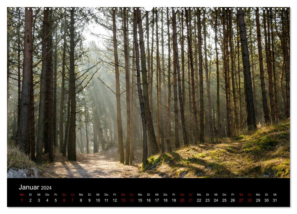 Polen - Reise durch unser schönes Nachbarland (CALVENDO Premium Wandkalender 2024)