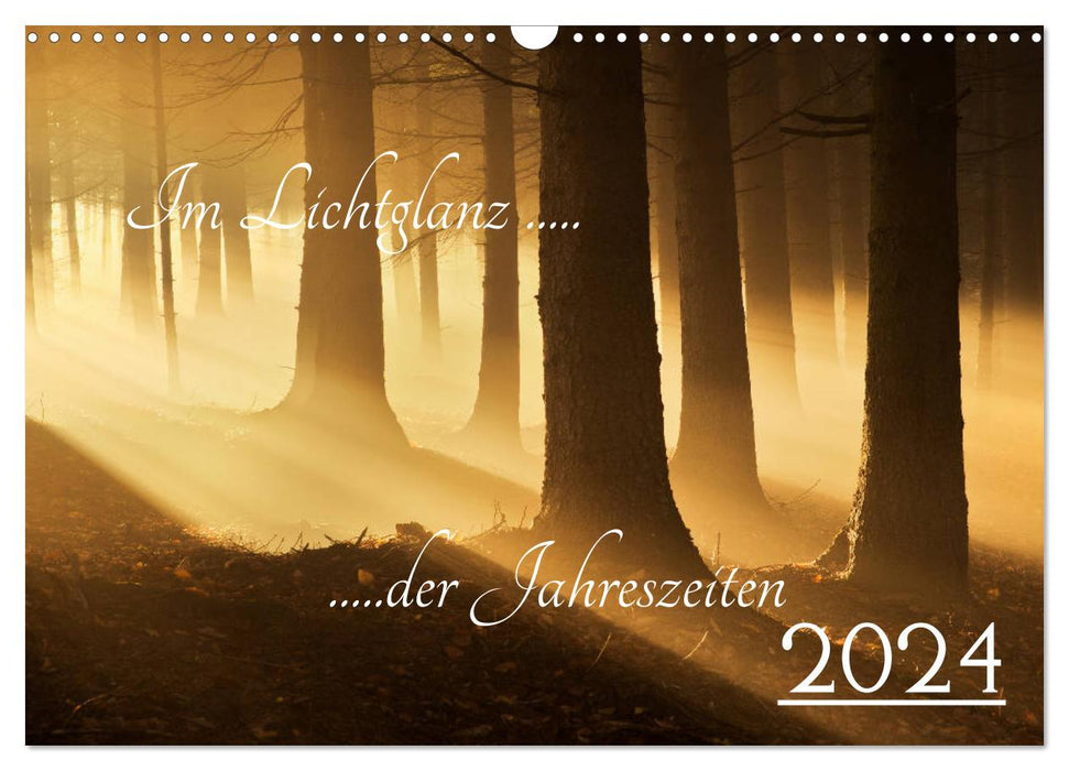 Im Lichtglanz der Jahreszeiten (CALVENDO Wandkalender 2024)