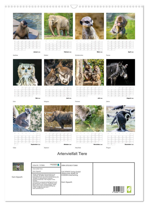 Biodiversity of animals (CALVENDO wall calendar 2024) 