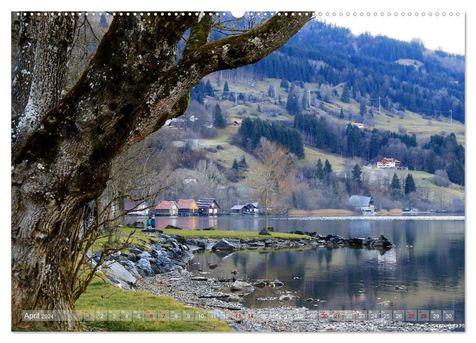 Autour de l'Alpsee (calendrier mural CALVENDO 2024) 