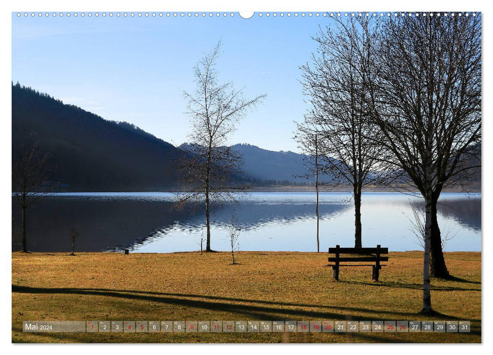 Autour de l'Alpsee (calendrier mural CALVENDO 2024) 