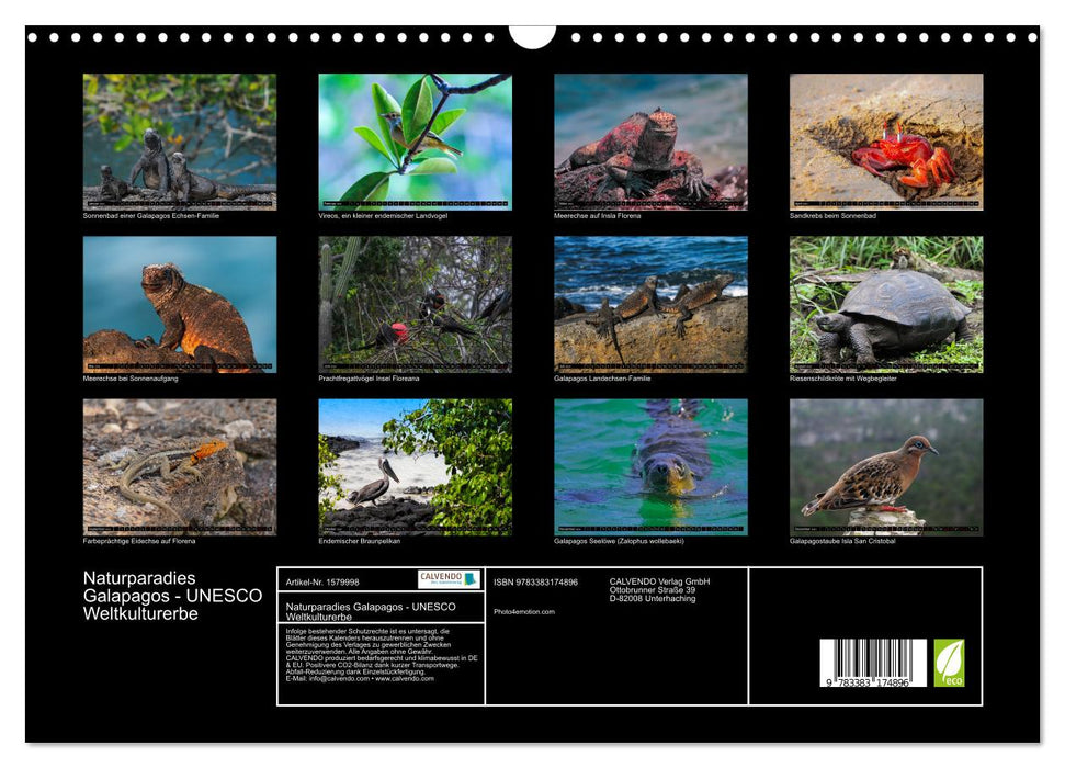 Paradis naturel des Galapagos - Site du patrimoine mondial de l'UNESCO (Calendrier mural CALVENDO 2024) 