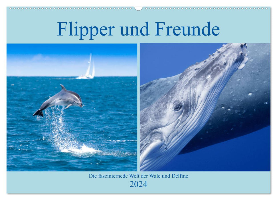 Flipper und Freunde (CALVENDO Wandkalender 2024)