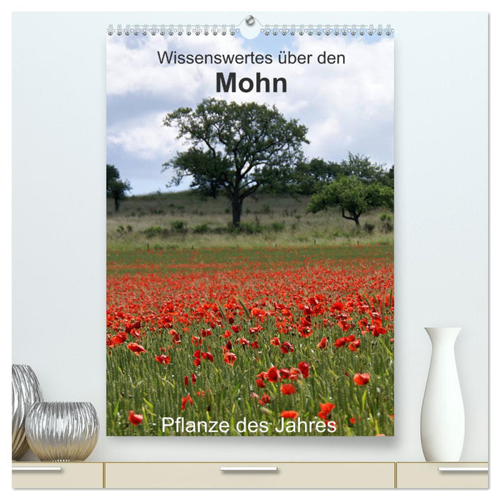 Wissenswertes über den Mohn - Pflanze des Jahres (CALVENDO Premium Wandkalender 2024)