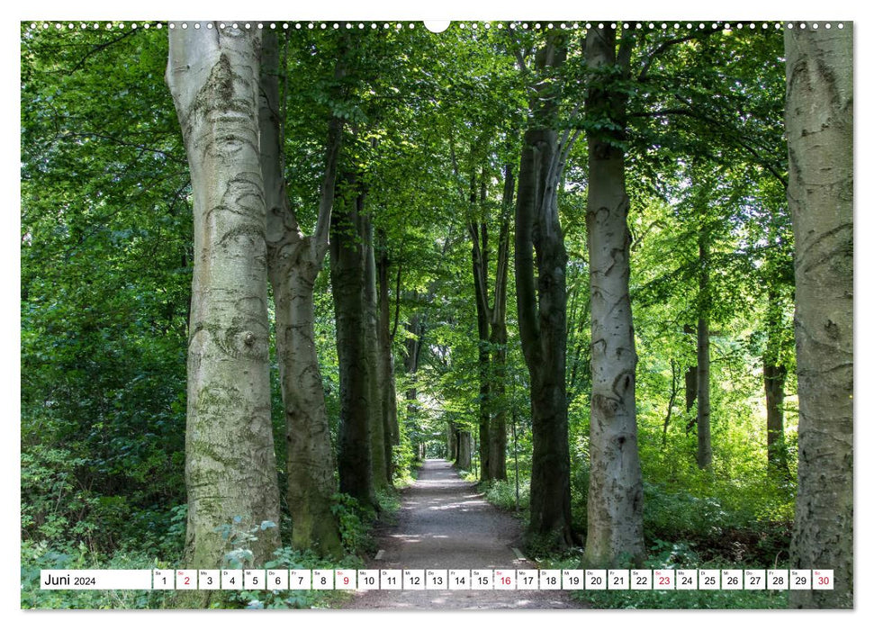 Langenhagen erleben (CALVENDO Wandkalender 2024)