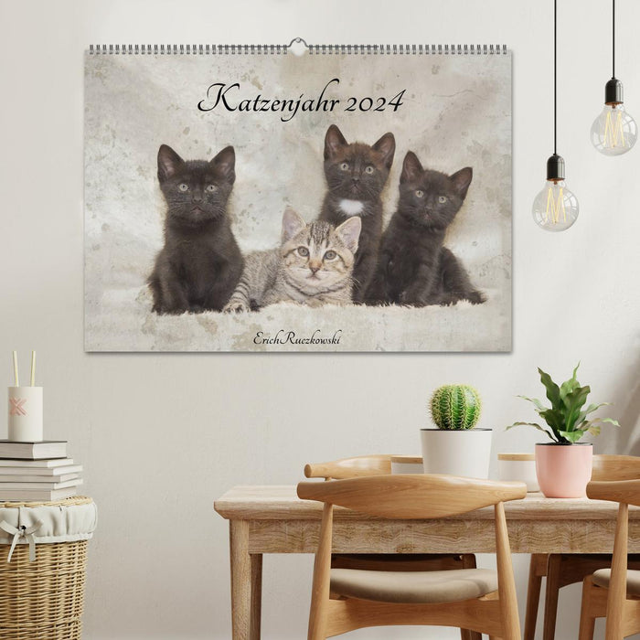 Année du chat 2024 (calendrier mural CALVENDO 2024) 