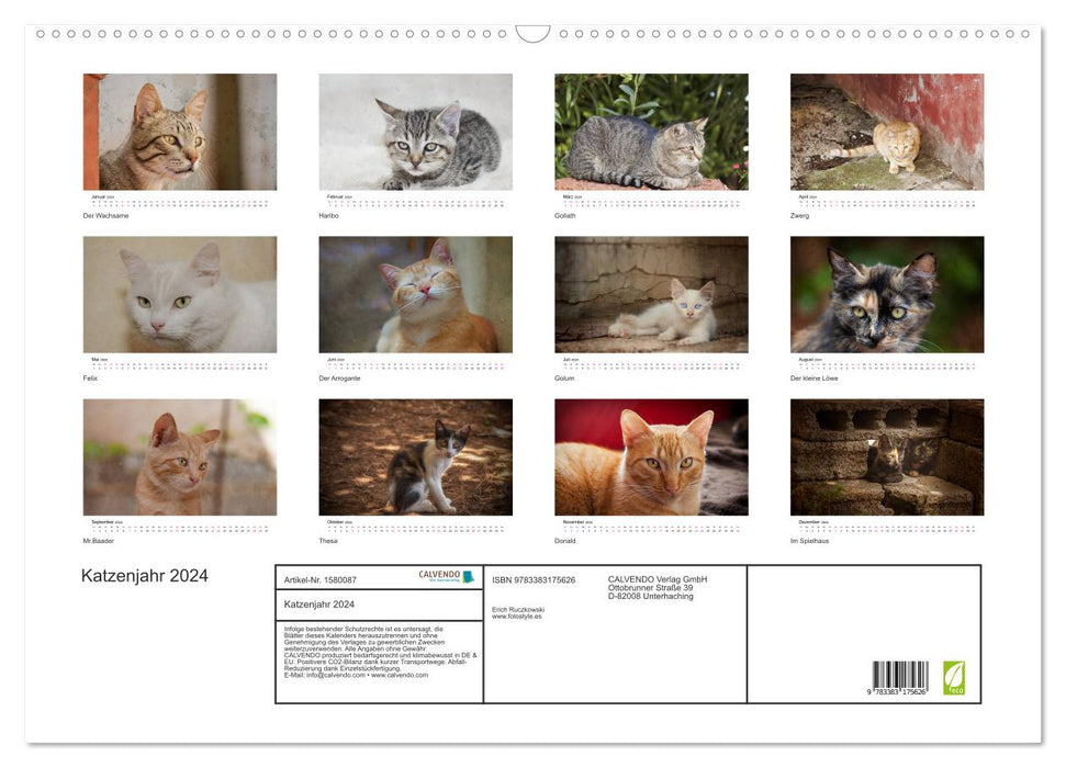 Année du chat 2024 (calendrier mural CALVENDO 2024) 