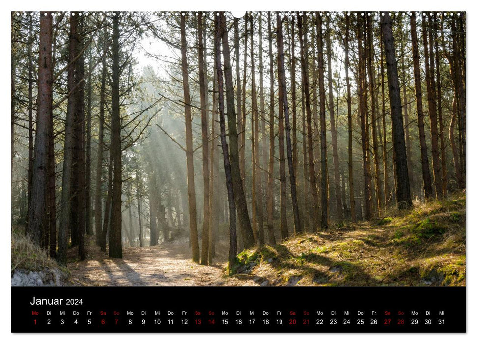 Pologne - Voyagez à travers notre beau pays voisin (Calendrier mural CALVENDO 2024) 