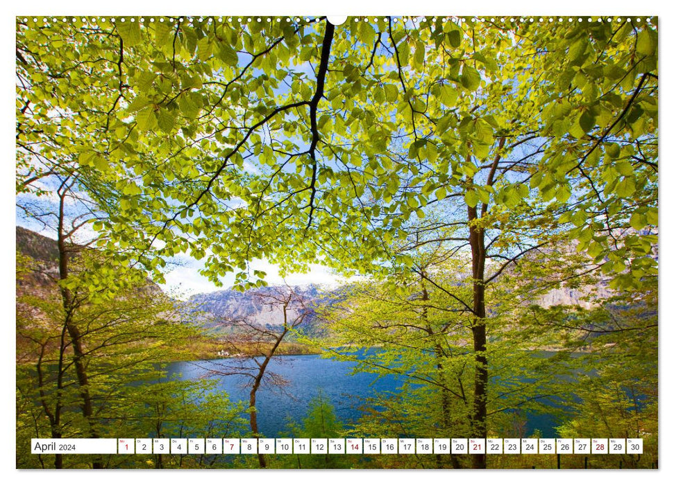 On the beautiful Hallstättersee in the Upper Austrian Salzkammergut (CALVENDO Premium Wall Calendar 2024) 