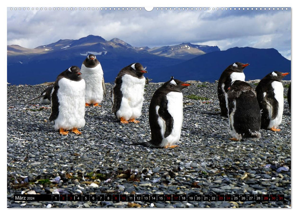 Argentina - From Iguazu to Tierra del Fuego (CALVENDO wall calendar 2024) 