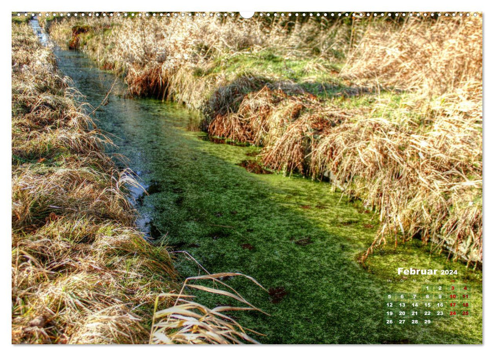 Pictures from the beautiful Harz (CALVENDO wall calendar 2024) 