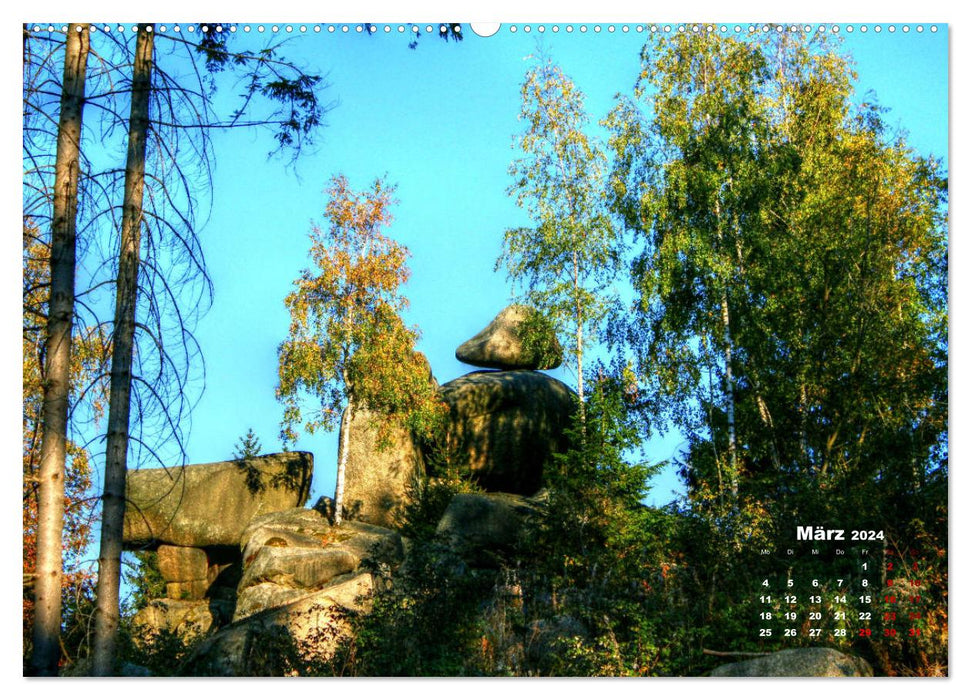 Pictures from the beautiful Harz (CALVENDO wall calendar 2024) 