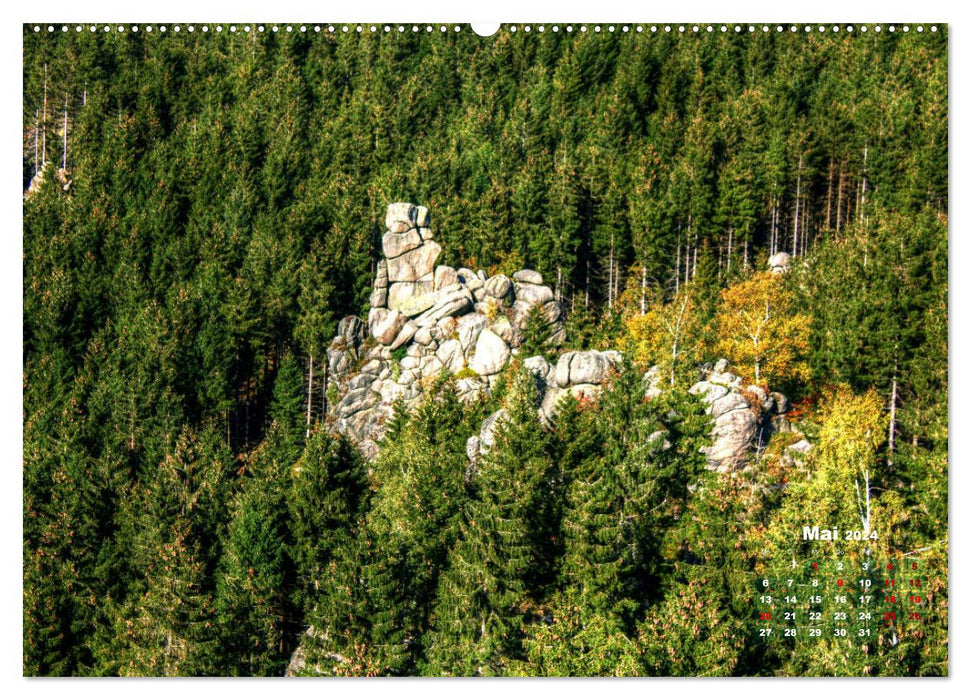 Pictures from the beautiful Harz (CALVENDO wall calendar 2024) 