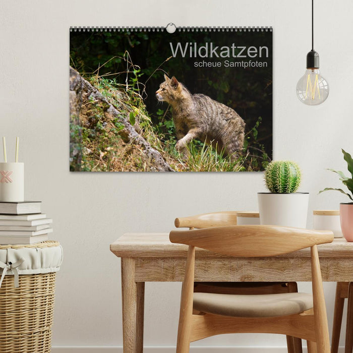 Wildkatzen - scheue Samtpfoten (CALVENDO Wandkalender 2024)