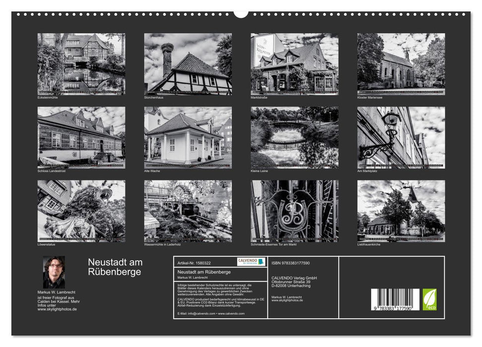 Ein Blick auf Neustadt am Rübenberge (CALVENDO Premium Wandkalender 2024)
