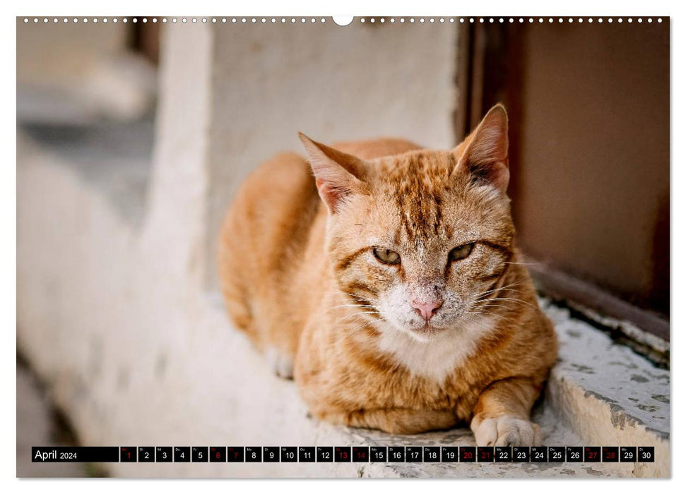 Crete - picturesque views (CALVENDO wall calendar 2024) 