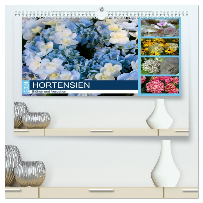 Hortensien Blühen und Vergehen (CALVENDO Premium Wandkalender 2024)