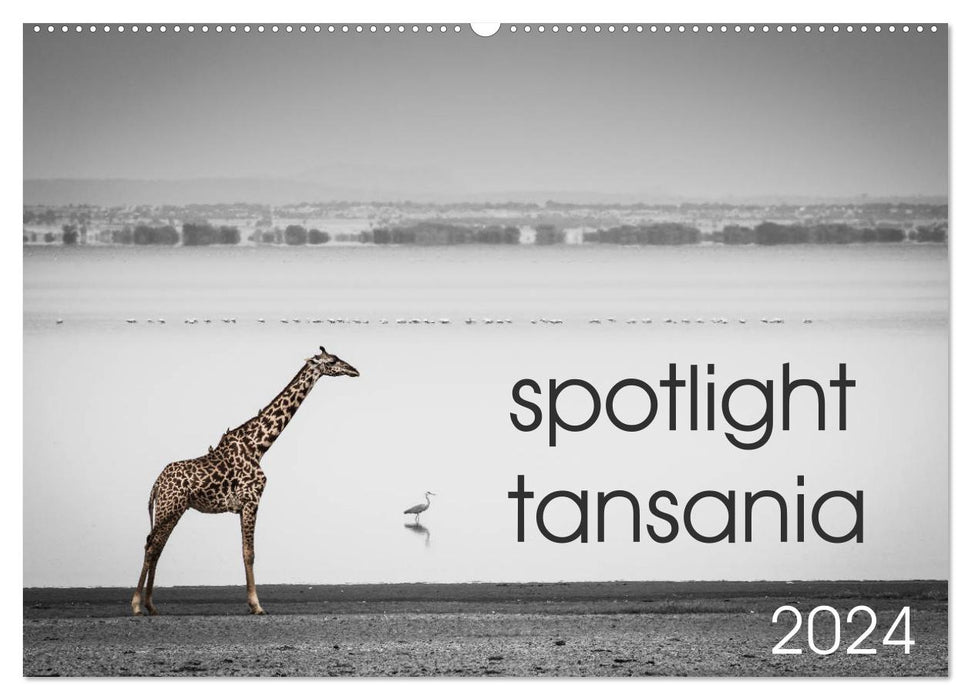 spotlight tansania (CALVENDO Wandkalender 2024)