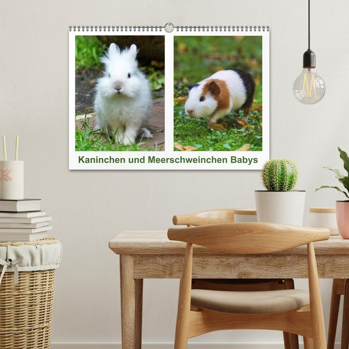 Rabbit and guinea pig babies (CALVENDO wall calendar 2024) 